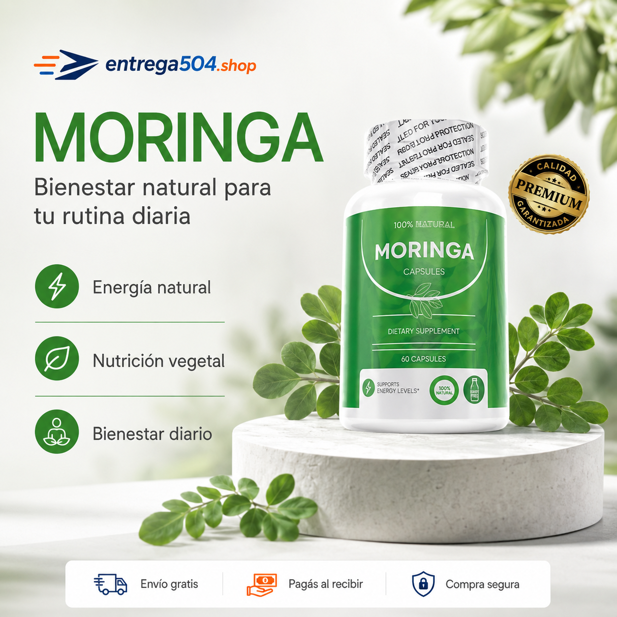 Moringa — Bienestar natural para tu rutina diaria
