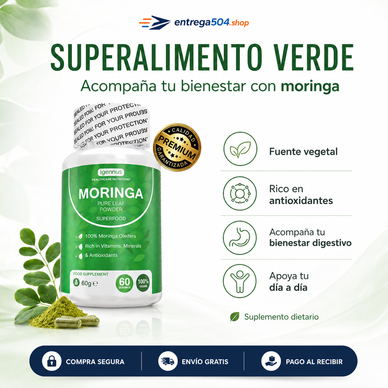 Moringa — Bienestar natural para tu rutina diaria