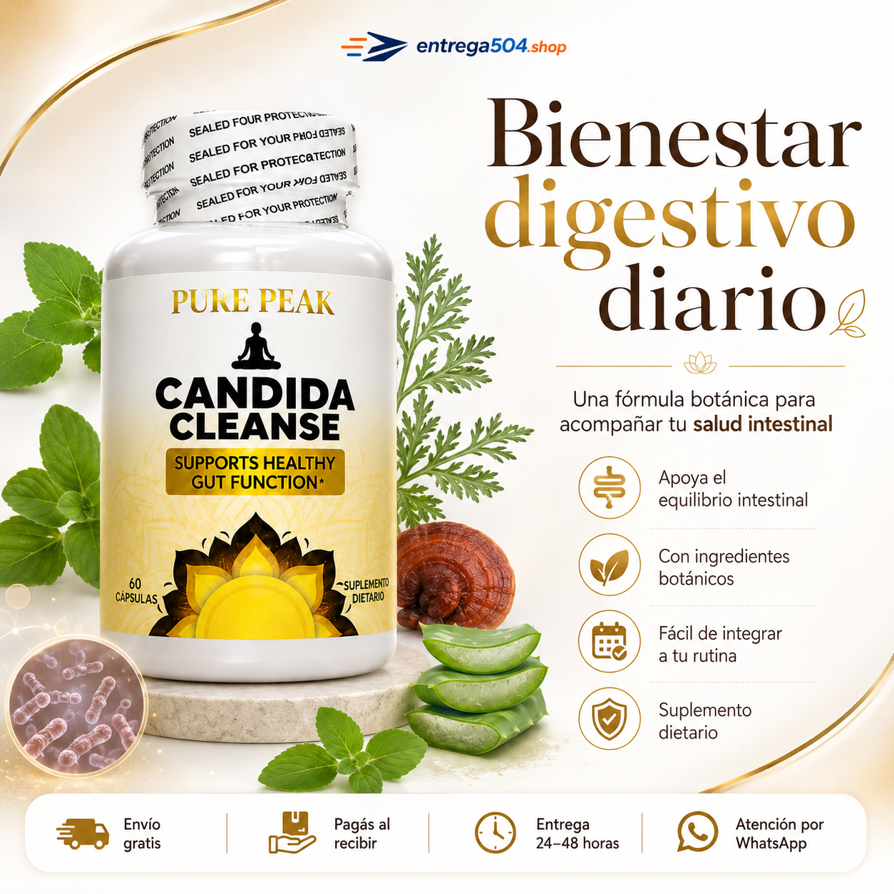Candida Cleanse — Apoyo premium para tu bienestar intestinal