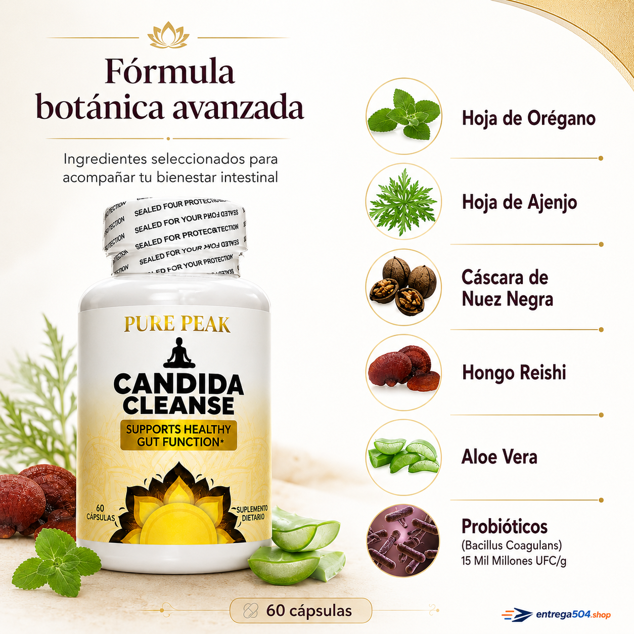 Candida Cleanse — Apoyo premium para tu bienestar intestinal